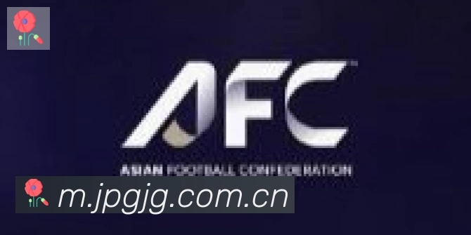 开云app合作伙伴