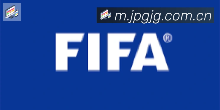 开云app合作伙伴