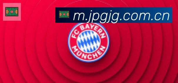 开云app合作伙伴