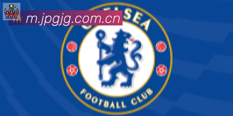 开云app合作伙伴